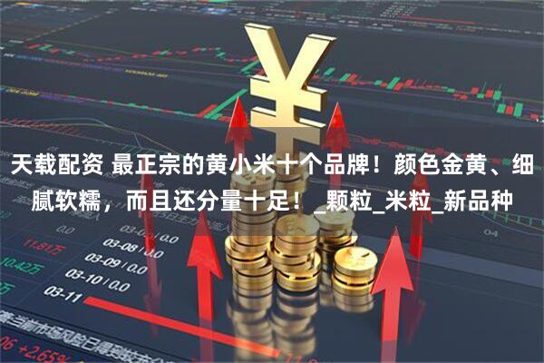 天载配资 最正宗的黄小米十个品牌！颜色金黄、细腻软糯，而且还分量十足！_颗粒_米粒_新品种