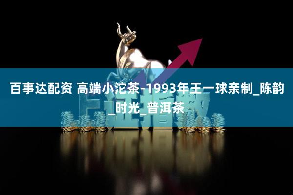 百事达配资 高端小沱茶-1993年王一球亲制_陈韵_时光_普洱茶