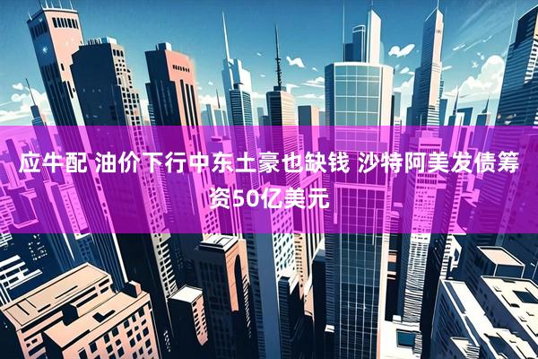应牛配 油价下行中东土豪也缺钱 沙特阿美发债筹资50亿美元