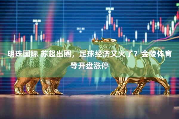 明珠国际 苏超出圈，足球经济又火了？金陵体育等开盘涨停