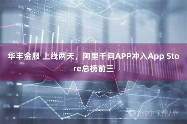 华丰金服 上线两天，阿里千问APP冲入App Store总榜前三